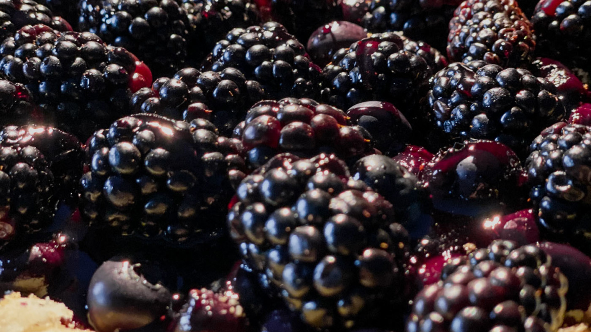 Blackberry and blueberry thin tart